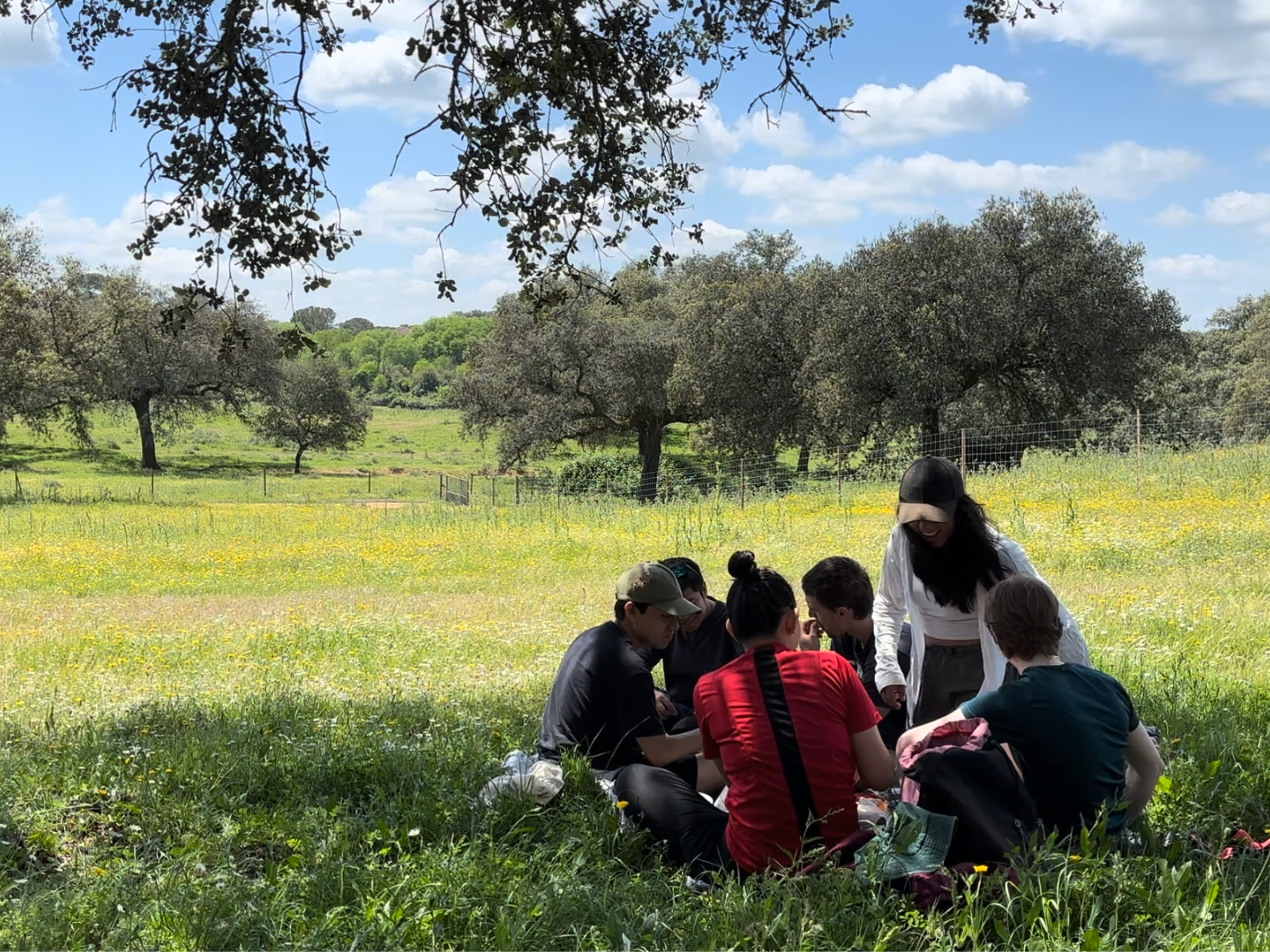 Guada and friends at a Adalusian meadow